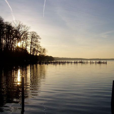 Ferienwohnungen am Werbellinsee Schorfheide Exterior foto